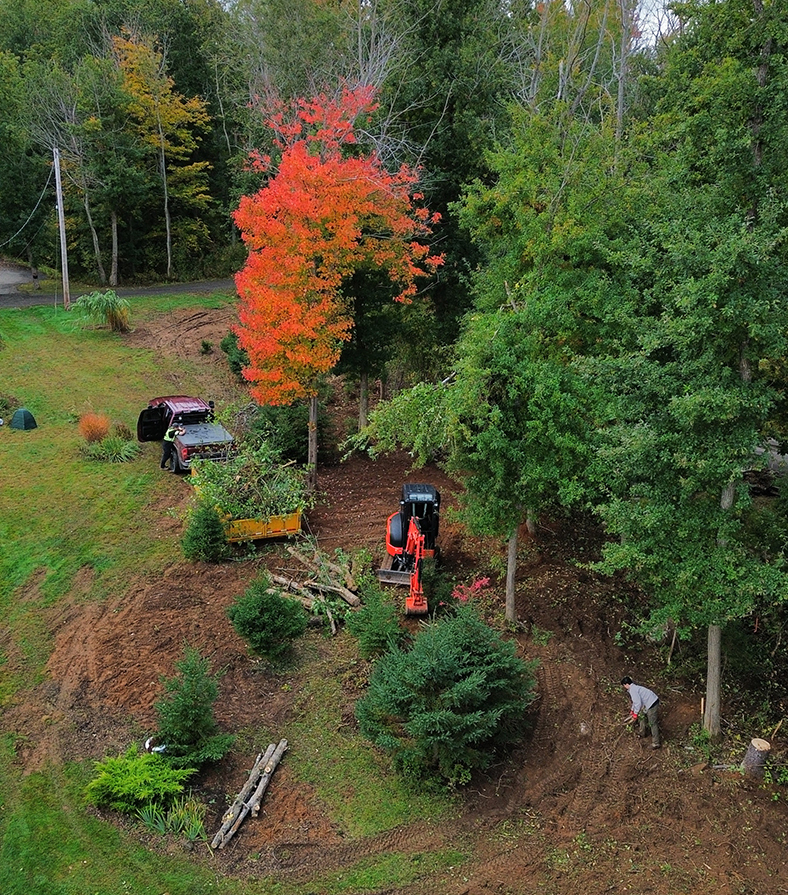andscaping, tree removal, excavation
